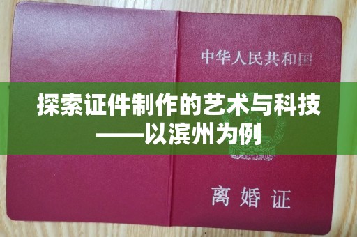 合肥探索证件制作的艺术与科技——以滨州为例