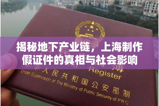 合肥揭秘地下产业链，上海制作假证件的真相与社会影响